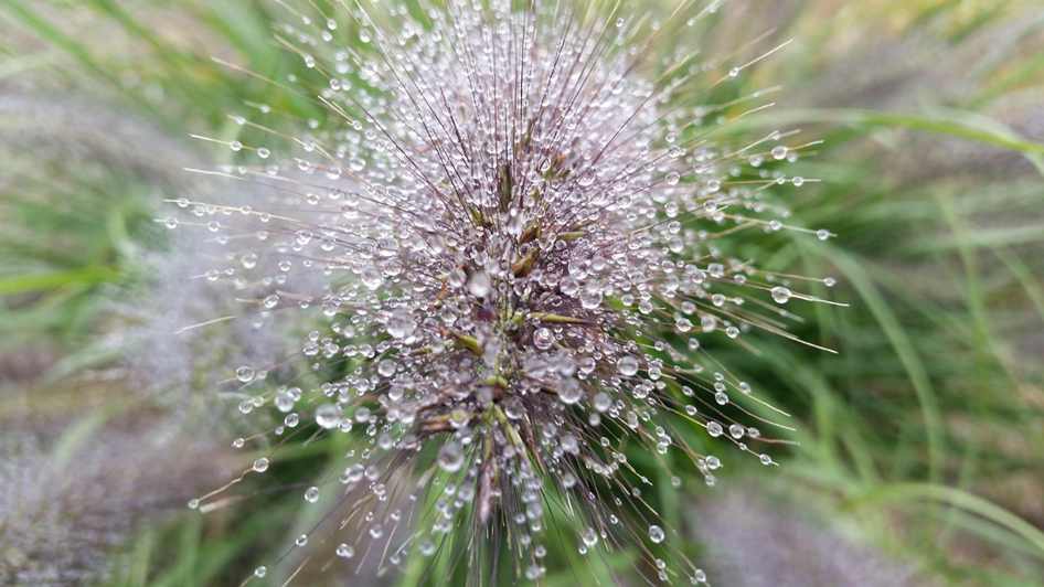 Chaveiro de madeira natural com corte a laser